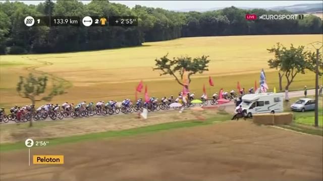 Woman races peloton… on a horse wearing a polka dot hat