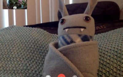 How to Capture a Live Photo in FaceTime on iOS 11 and macOS High Sierra