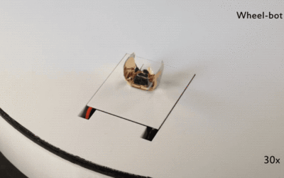 MIT CSAIL’s origami-bot wears foldable exosuits