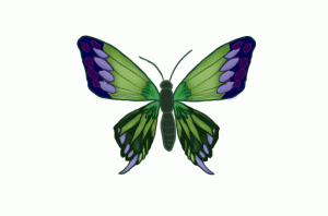 butterfly-animated-gif-19