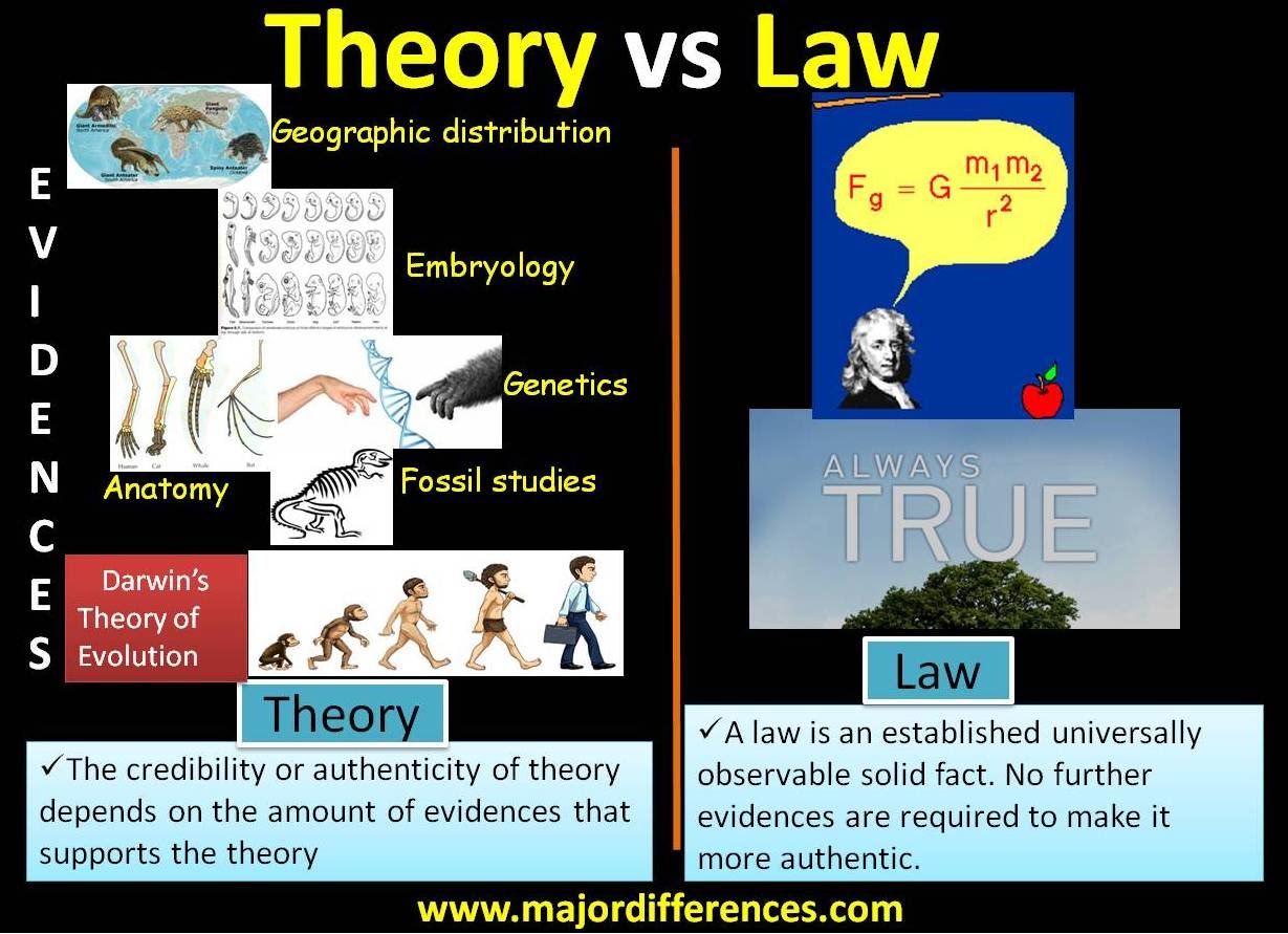 hypothesis theory and law in chemistry