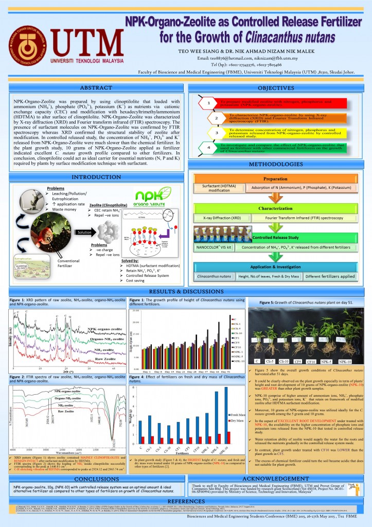 BME2015_poster_Teo