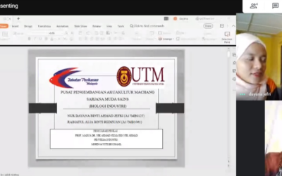 Online Assessment – Industrial Training