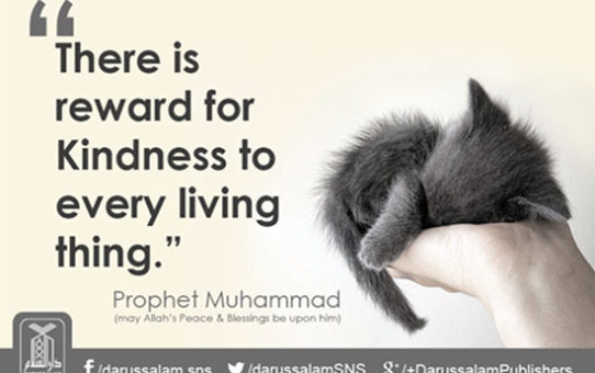 There is reward for Kindness to every living thing